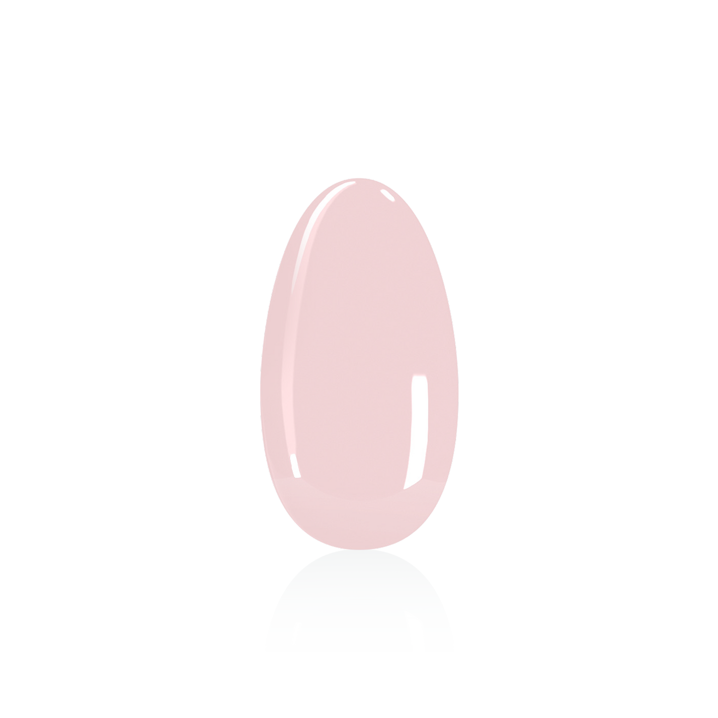 Shellac - Mademoiselle